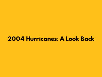 2004 Hurricanes: A Look Back