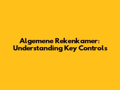 Algemene Rekenkamer: Understanding Key Controls
