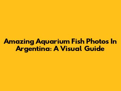 Amazing Aquarium Fish Photos In Argentina: A Visual Guide