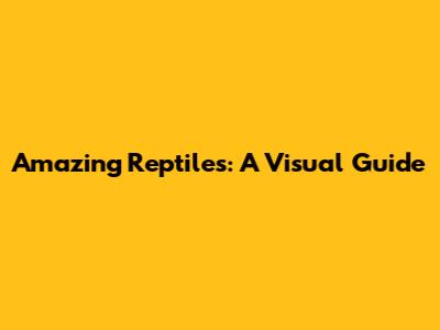 Amazing Reptiles: A Visual Guide
