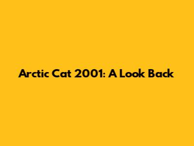 Arctic Cat 2001: A Look Back