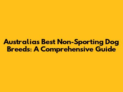 Australia's Best Non-Sporting Dog Breeds: A Comprehensive Guide