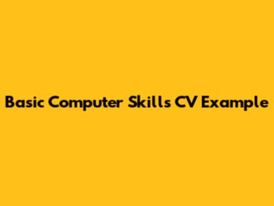 Basic Computer Skills CV Example