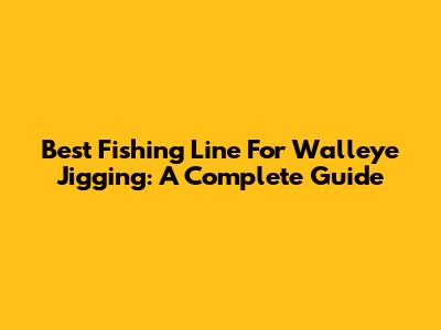 Best Fishing Line For Walleye Jigging: A Complete Guide
