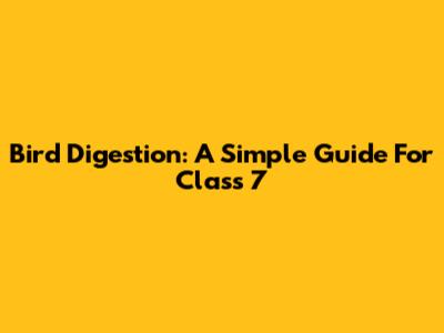 Bird Digestion: A Simple Guide For Class 7