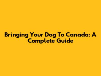Bringing Your Dog To Canada: A Complete Guide
