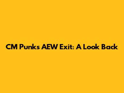 CM Punk's AEW Exit: A Look Back