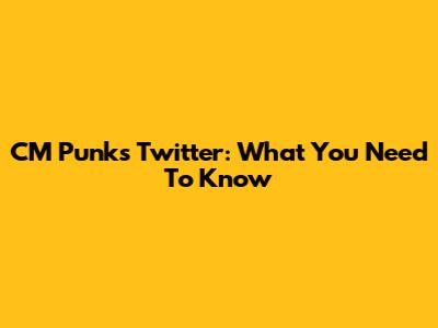 CM Punk's Twitter: What You Need To Know