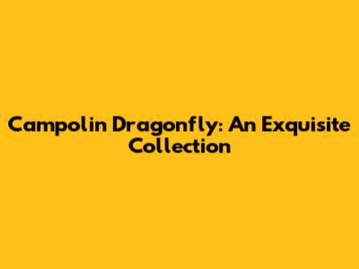 Campolin Dragonfly: An Exquisite Collection