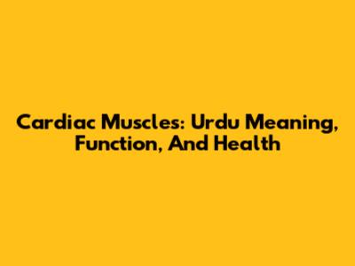 Cardiac Muscles: Urdu Meaning, Function, And Health