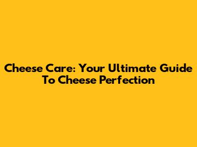 Cheese Care: Your Ultimate Guide To Cheese Perfection