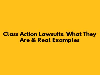 Class Action Lawsuits: What They Are & Real Examples