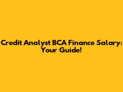 Credit Analyst BCA Finance Salary: Your Guide!