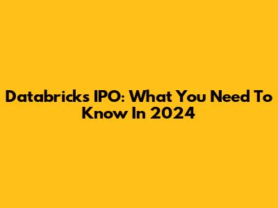 Databricks IPO: What You Need To Know In 2024