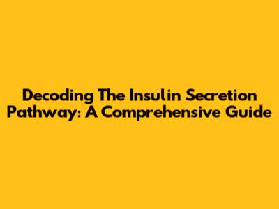 Decoding The Insulin Secretion Pathway: A Comprehensive Guide