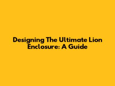Designing The Ultimate Lion Enclosure: A Guide
