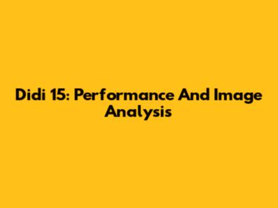 Didi 15: Performance And Image Analysis