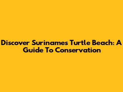 Discover Suriname's Turtle Beach: A Guide To Conservation