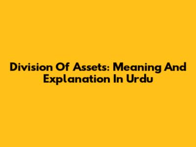 Division Of Assets: Meaning And Explanation In Urdu