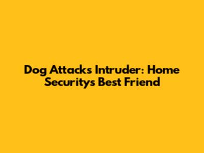 Dog Attacks Intruder: Home Security's Best Friend