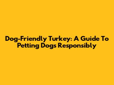 Dog-Friendly Turkey: A Guide To Petting Dogs Responsibly