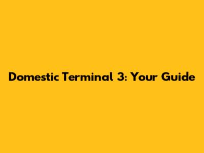 Domestic Terminal 3: Your Guide