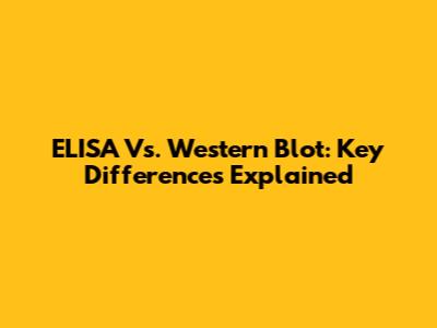 ELISA Vs. Western Blot: Key Differences Explained