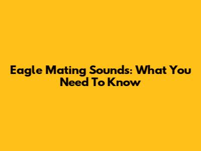 Eagle Mating Sounds: What You Need To Know