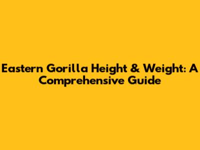 Eastern Gorilla Height & Weight: A Comprehensive Guide