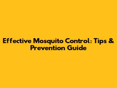 Effective Mosquito Control: Tips & Prevention Guide