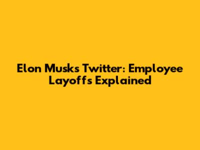 Elon Musk's Twitter: Employee Layoffs Explained