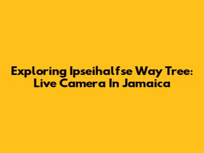 Exploring Ipseihalfse Way Tree: Live Camera In Jamaica