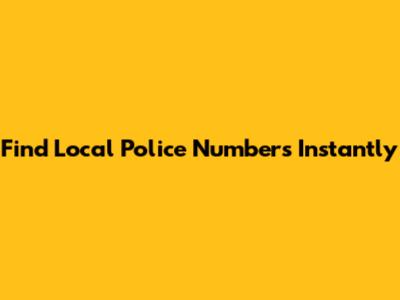 Find Local Police Numbers Instantly