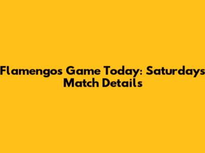 Flamengo's Game Today: Saturday's Match Details