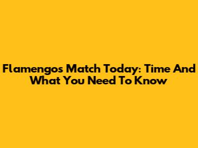 Flamengo's Match Today: Time And What You Need To Know