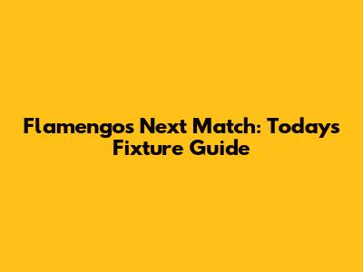 Flamengo's Next Match: Today's Fixture Guide