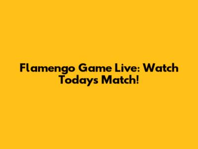 Flamengo Game Live: Watch Today's Match!