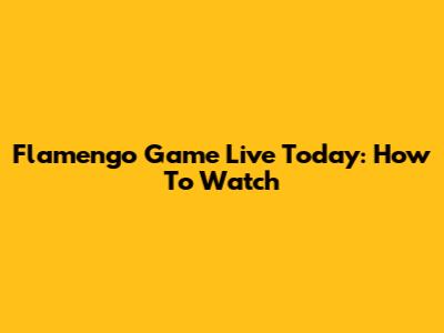 Flamengo Game Live Today: How To Watch
