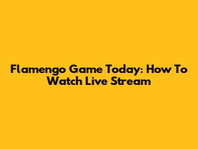 Flamengo Game Today: How To Watch Live Stream
