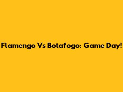 Flamengo Vs Botafogo: Game Day!