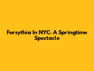 Forsythia In NYC: A Springtime Spectacle