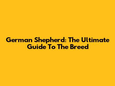 German Shepherd: The Ultimate Guide To The Breed