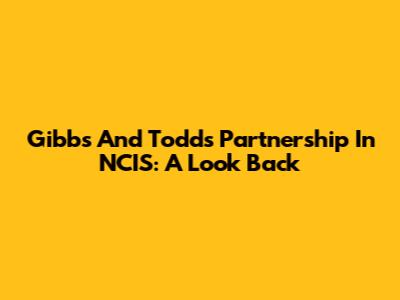 Gibbs And Todd's Partnership In NCIS: A Look Back