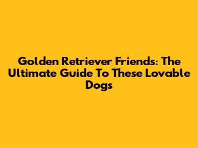 Golden Retriever Friends: The Ultimate Guide To These Lovable Dogs