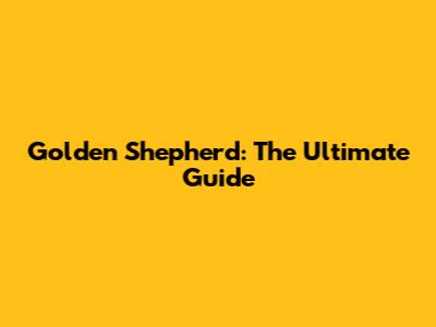 Golden Shepherd: The Ultimate Guide