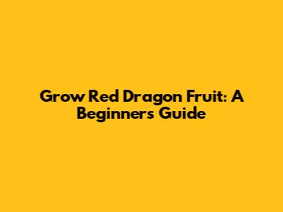 Grow Red Dragon Fruit: A Beginner's Guide