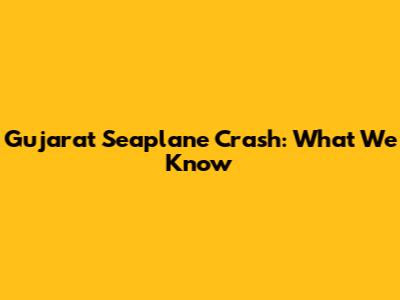Gujarat Seaplane Crash: What We Know
