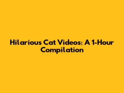 Hilarious Cat Videos: A 1-Hour Compilation