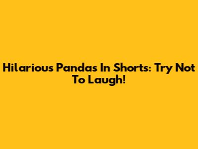 Hilarious Pandas In Shorts: Try Not To Laugh!