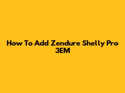 How To Add Zendure Shelly Pro 3EM